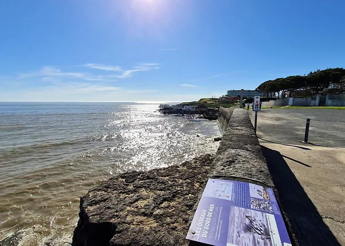 アパート Sur - Quartier Pontaillac - - Piscine Collective ヴォー・シュル・メール